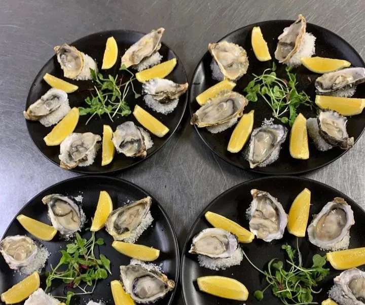 Fresh oysters